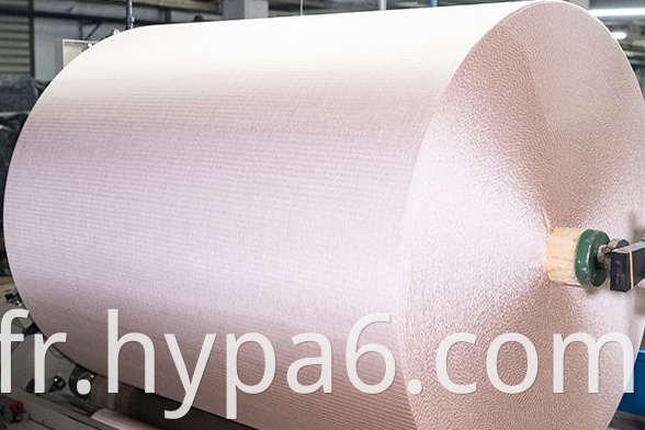 COLORED NYLON6 YANR FACTORY